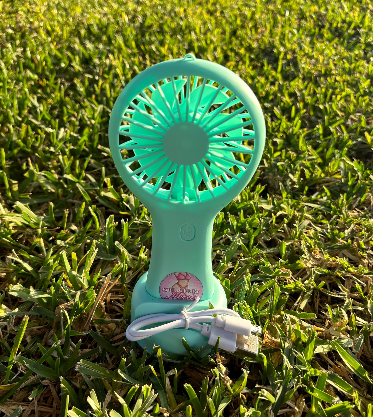 HANDHELD FAN